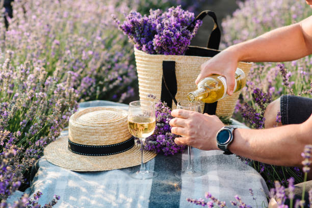 Male hands pouring white wine from a bottle into glasses on a background of a lavender field. Straw hat and basket with flowers lavender on a blanket on picnic table. Romantic evening time for dinner.